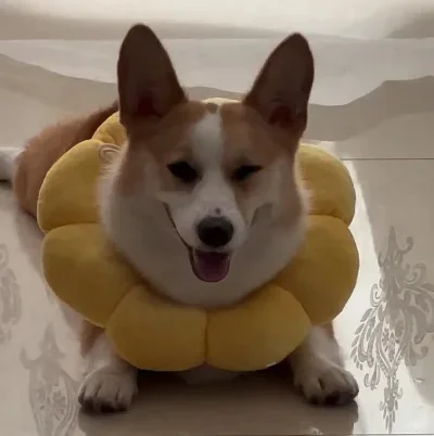 

Metal RC Trailer Hopper Frame Simulation For 1/10 Rock Crawler Truck Trail Traxxas TRX-4 TRX4 Axial SCX10 RC4WD D90 CC01