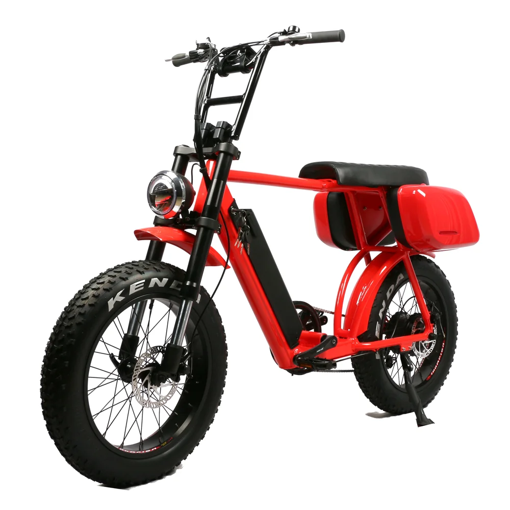 Full Suspension Electric Bike Aluminum Alloy Frame City E Bike 48v 1000w E Bike Fat Tire Conversion Kit with Side Boxes view 3