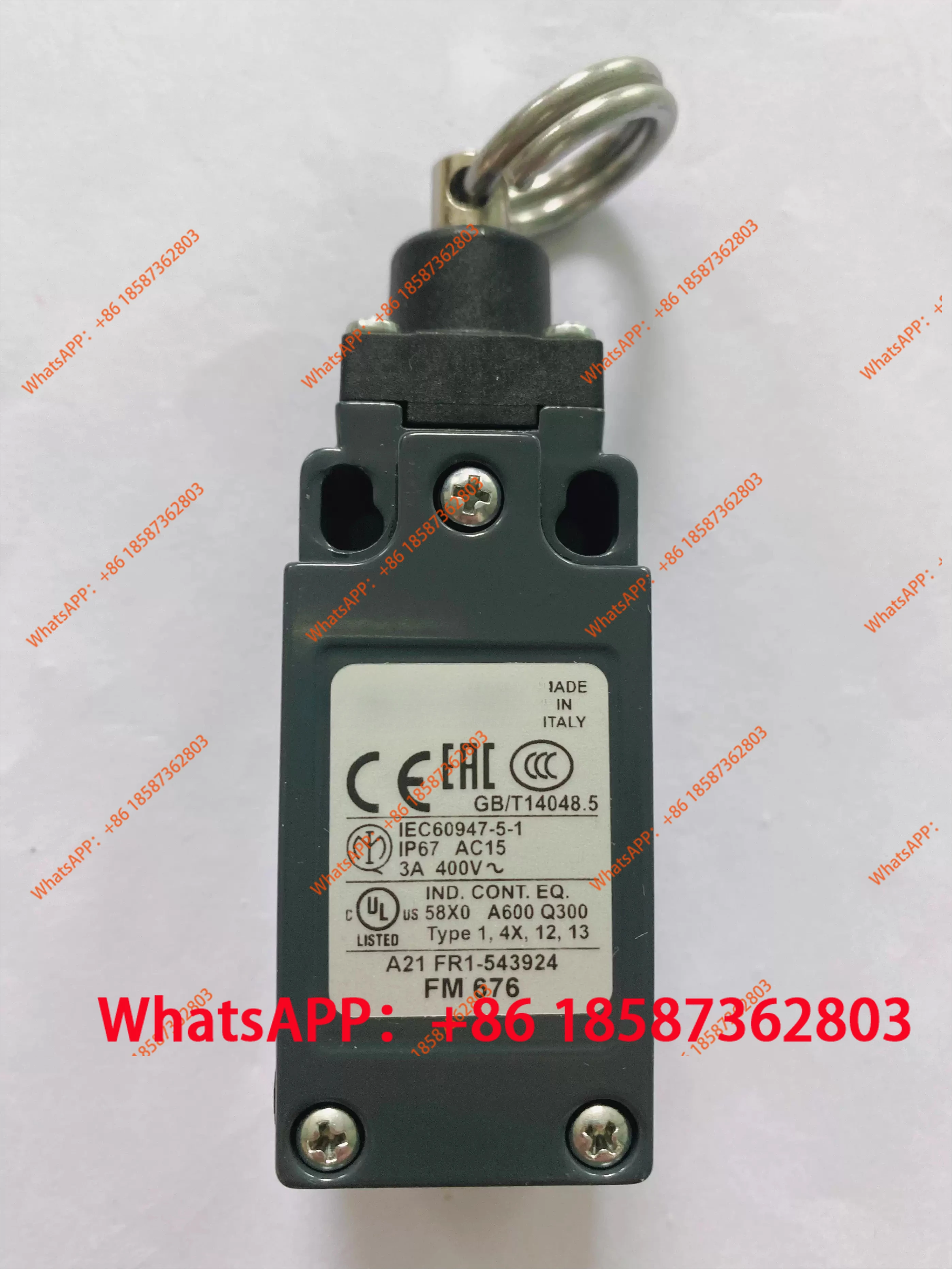 

New rope switch FM676 quality assurance