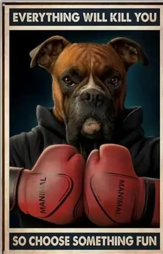BOXING BOXER DOG TIIN SIGN EVERYTHING WILL KILL YOU SO CHOOSE SOMETHING FUN ART sign