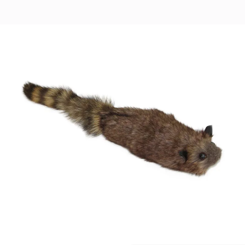 2022 New  Interactive Magic Animal Cute Raccoon Props Performance Supplies Novelty Close-up Magical Toy Street Art Magician Show