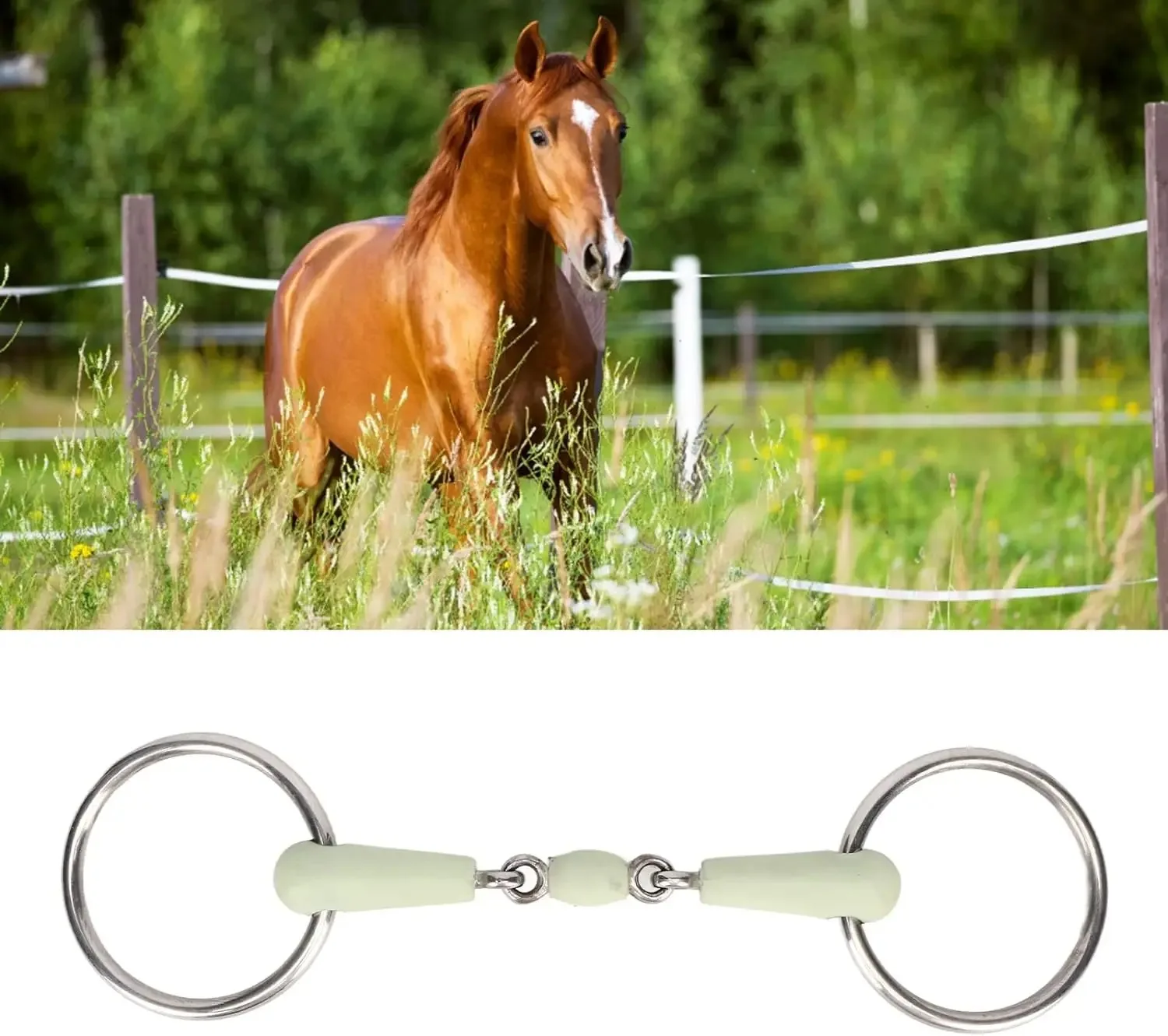 Horse Mouth Bit Stainless Steel Ring Middle Sturdy Bit Rust Resistance Loose Ring for Controling Horse Activities