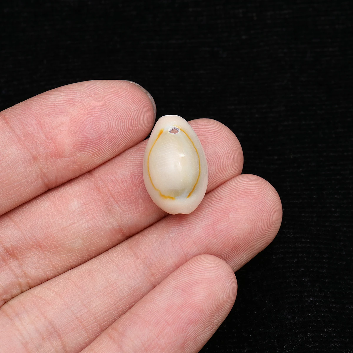 

50pcs DIY Shell Pendant Sea Snail Conch Beads Jewelry Making Earring Necklace Natural Decoration Craft Beads Accessory