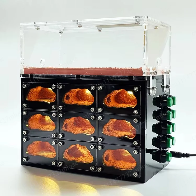 USB Independent Lights Control Ecological Ant Farm ,Ants Living House Concrete Workshop Ant Nest Pet Anthill Insect Box