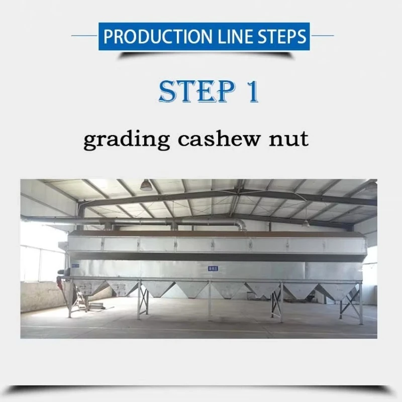 Large Capacity Fully Automatic Cashew Nut Production Line Cashew Nuts Dehusking Machine Cashew Nut Peeling Equipment Customized