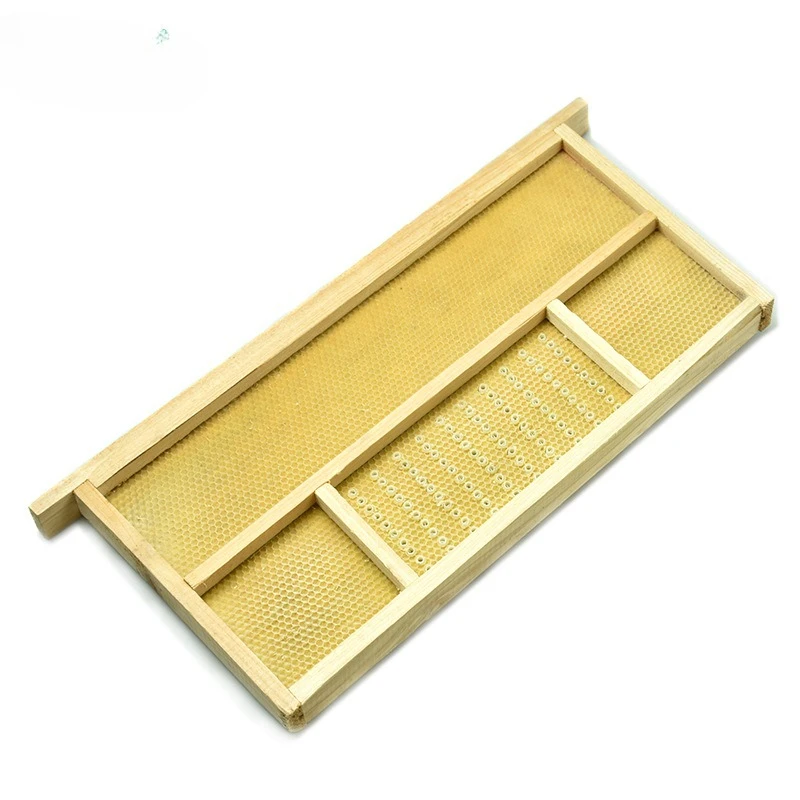 مجموعة أدوات تربية ملك الحشرات الصينية الخالية من النحل #3