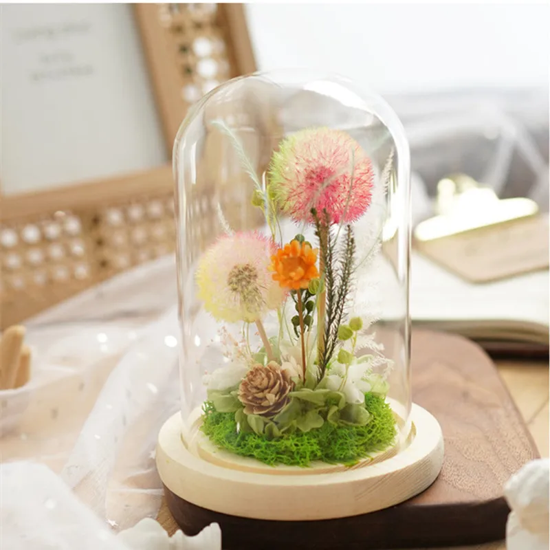 7*12cm Small Size Log Base Glass Dome Home Decoration Transparent Cover DIY Friend Gift Wedding Live Prop