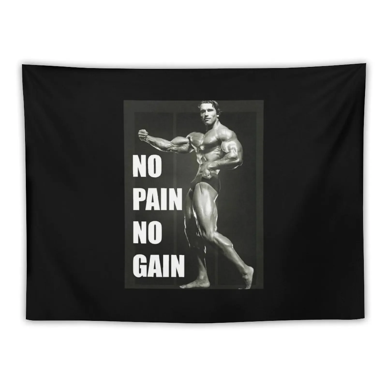 Arnold Schwarzenegger No Pain No Gain! Tapestry Anime Decor Decorative Paintings Japanese Room Decor Tapestry