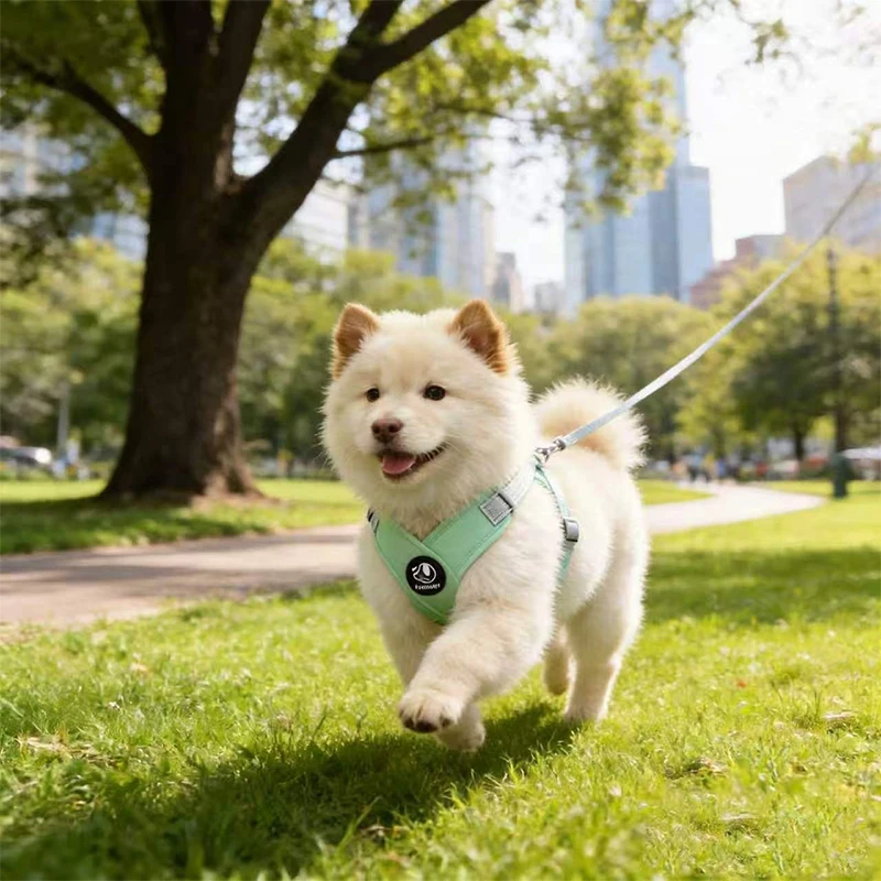 

Dog Vest Style Towing Rope Reflective Puppy Chest Harness With Leash No-pull Pet Walking Harness Lightweight & Secure