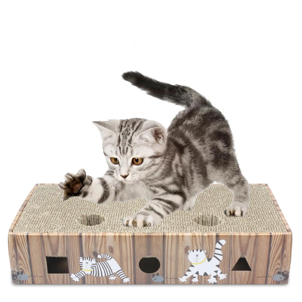 Huisdier Kitten Krabplank Slijpklauwspeelgoed voor kleine alle rassen Kat