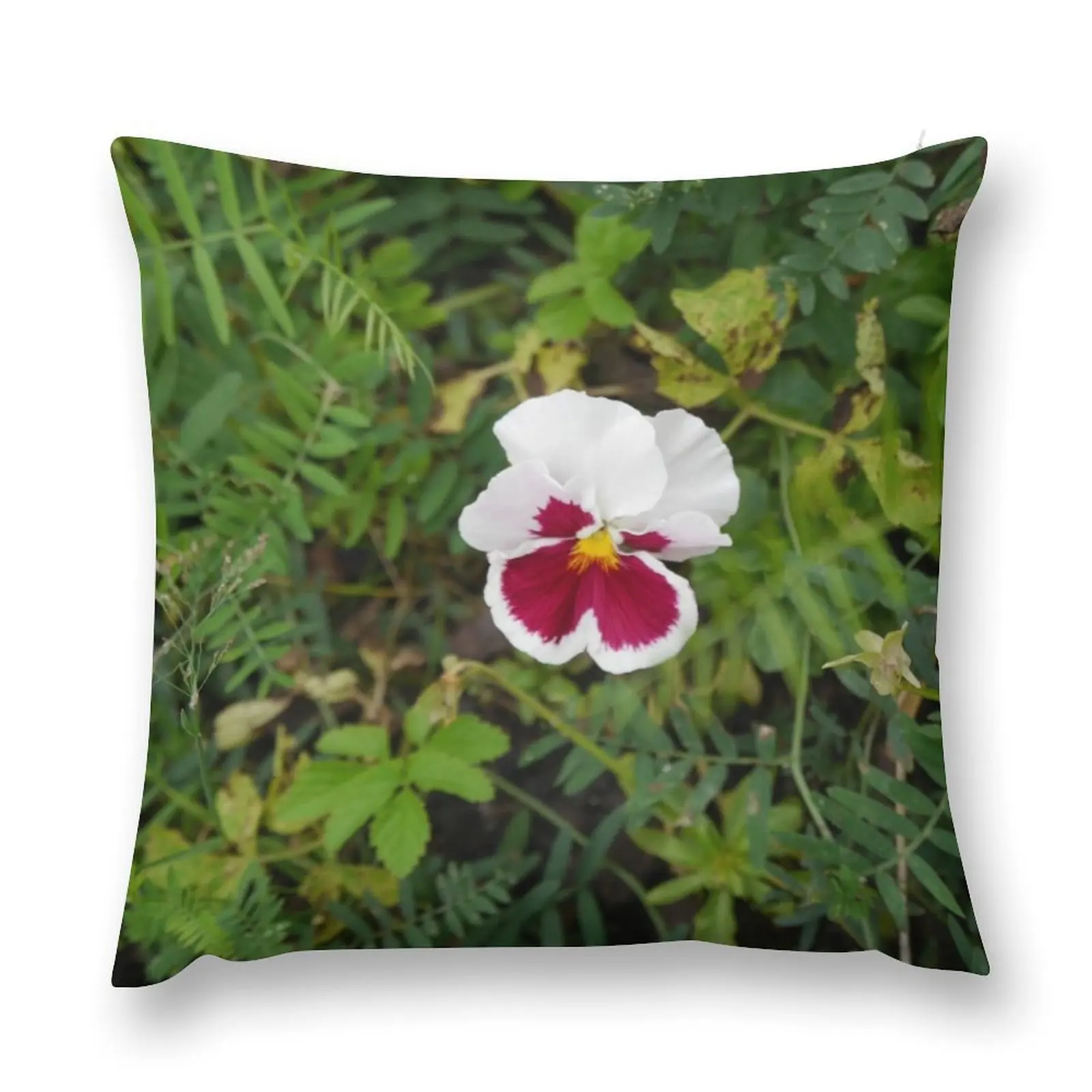 

1 Wild pansy Throw Pillow Sofa Decorative Covers Sofa Cushions pillow