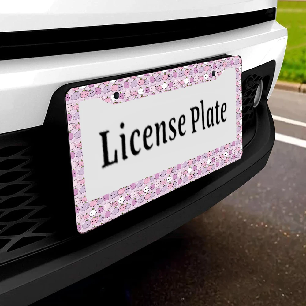 1 قطعة نمط اليقطين الوردي 2-Hole إطار لوحة الترخيص ، مادة الألومنيوم ، 6x12 بوصة مع مجموعة المسمار ، الكرتون متعة سيارة الديكور