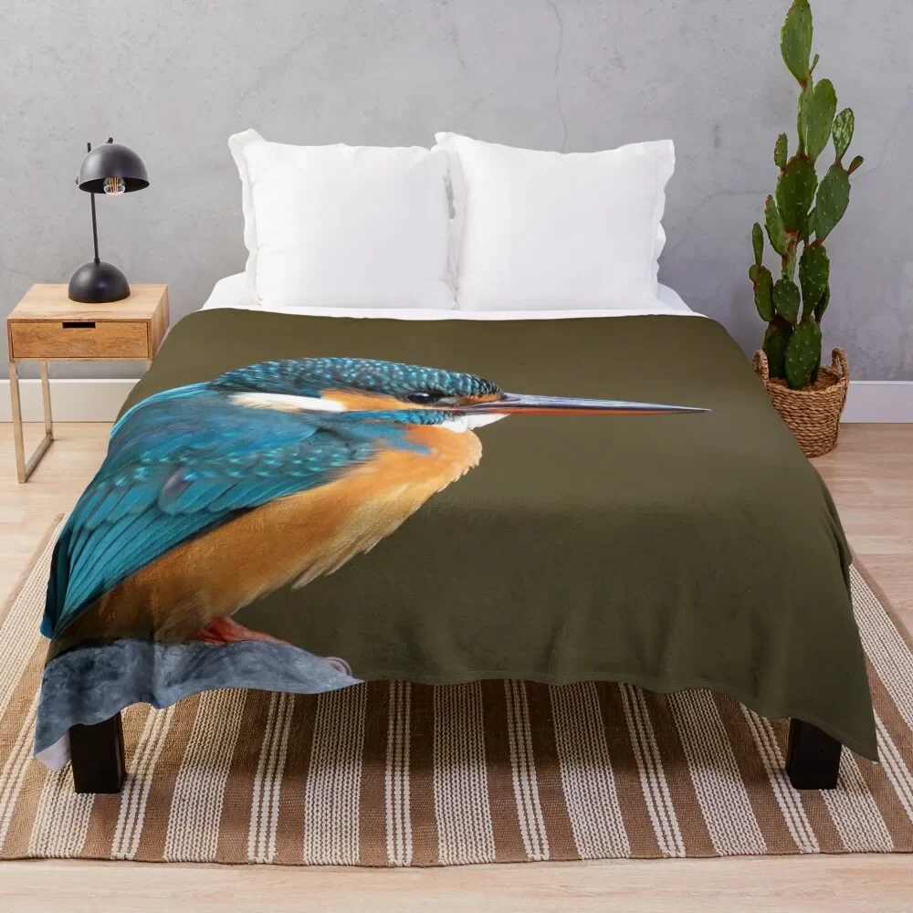 

Common Kingfisher in Japan Throw Blanket Summer Beddings Bed Fashionable funny gift Hairys Blankets