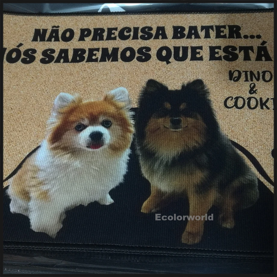 Felpudo personalizado con foto de perro, Felpudo con Nombre de mascota, alfombrillas de suelo para puerta de pasillo, alfombra, accesorio de