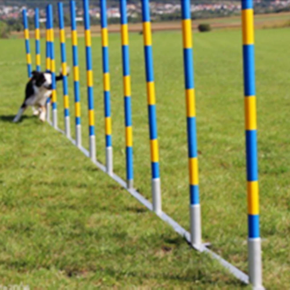 

Dog Agility Equipment Fci International Competition Grade Pet Dog Eight Around The Rod Can Change The Track Spacing Sun Moisture