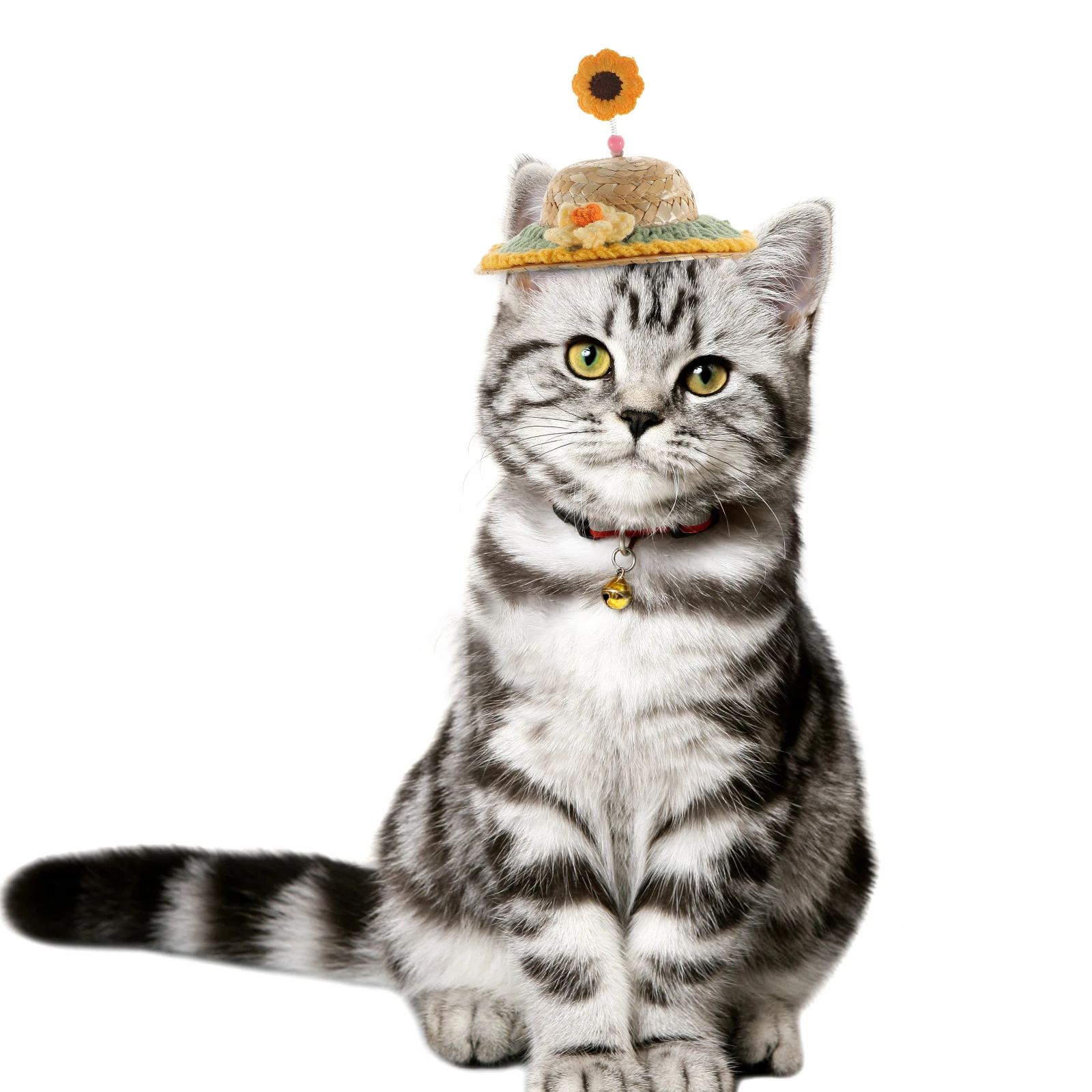 

Puppy Pet Hat Birthday Decoration Party Graduation Costume for Dog Small Animals Hats Dogs Holiday