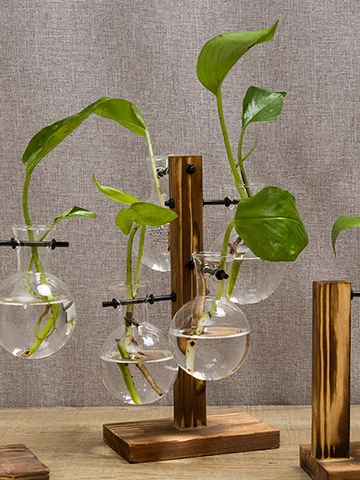 Hydroponic Plant Glass Vase, Modern Desktop Plant Terrarium Planter Bulb Water Planting Propagation Planters Hydroponics Plants