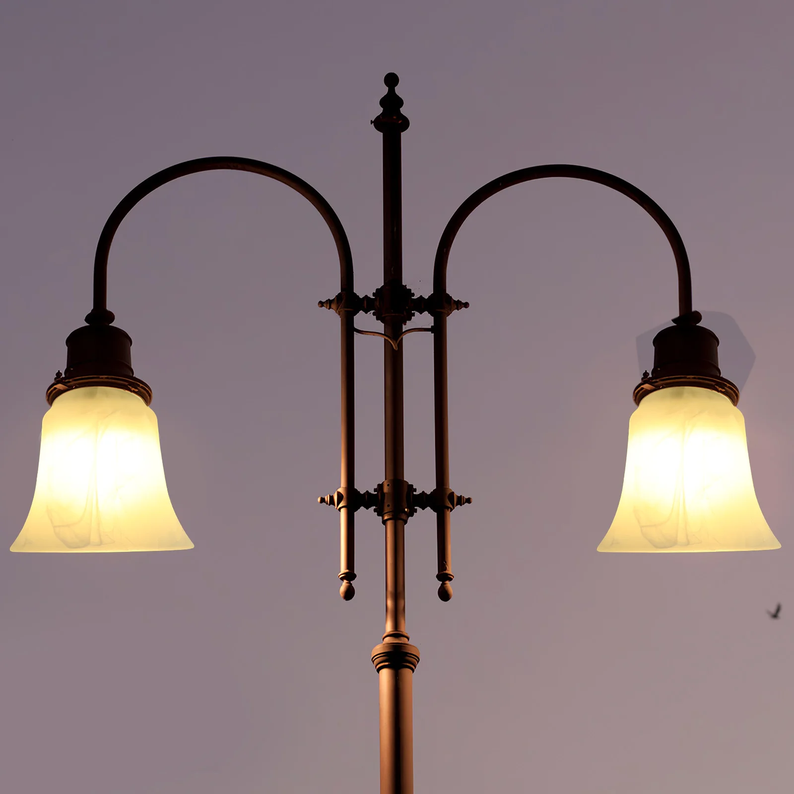 

4Pcs Frosted Glass Light Shade Elegant Soft Illumination Ceiling Fan Covers Easy Installation Home Decor Fan Light Covers