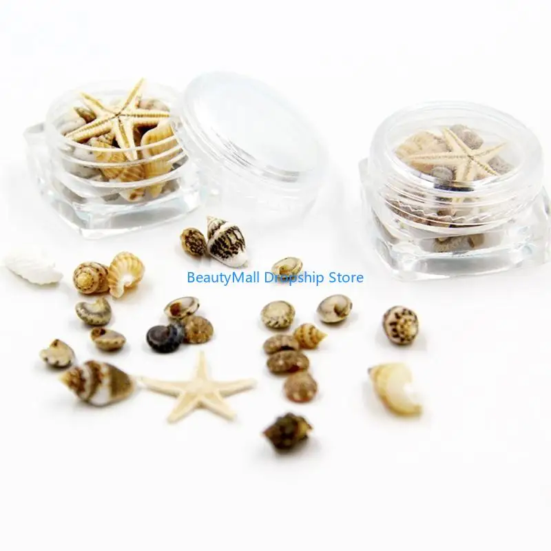 40JD Seashell Art Charms Natural Seashell for Shell Conch Pendant Mini Shells For Crafts Charms