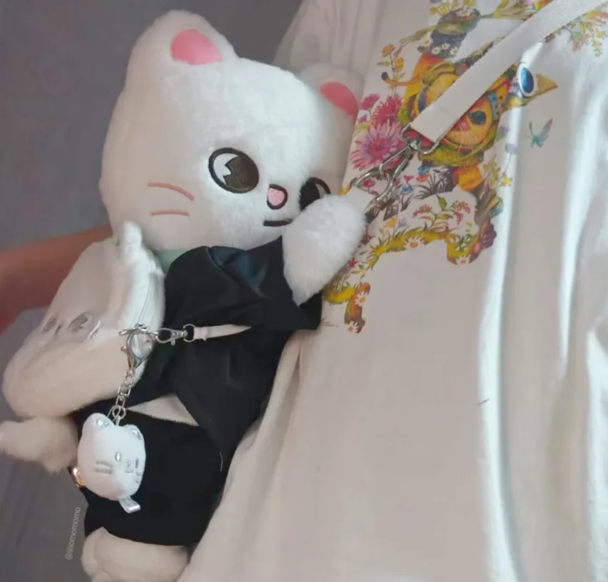 

Плюшевая сумка-кроссбоди SKZOO Stray Kids Bangchan Felix WolfChan Bbokari, детская игрушка, подарок для фанатов