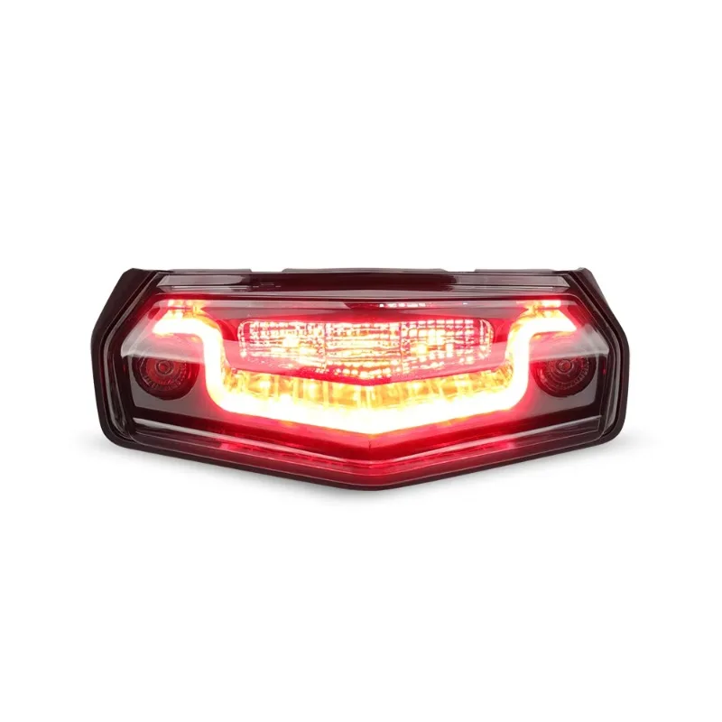 All in One Smoked Tail Light Integrated  with Brake Light Running Light Turn Signal for   700 Model 2024/2025
