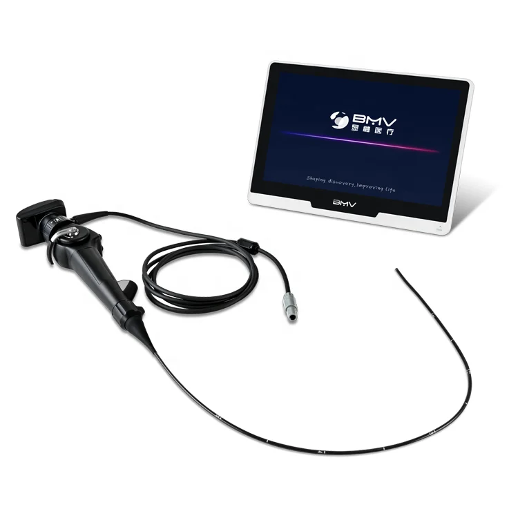 High-Resolution Veterinary Endoscope for Pets & Equines, Integrated LED Light Source & Camera, Factory Price Portable System