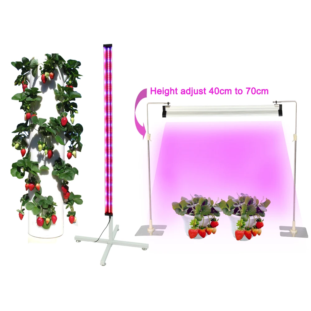 Strawberry Aeroponic Container Home Vertical Greenhouse Indoor Plant Aquaponics Hydroponic Growing Systems