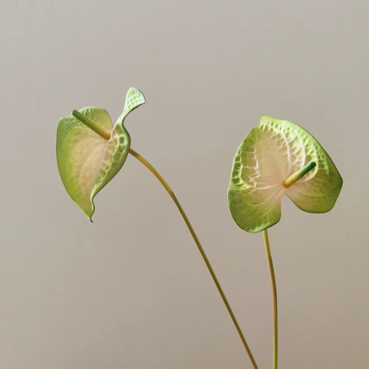 10 Stück Künstliche EVA-Anthurienblumen für Heimdekoration, Palmenblumen, Hochzeits-Blumenarrangements, Brautstrauß-Zubehör – Detail 34