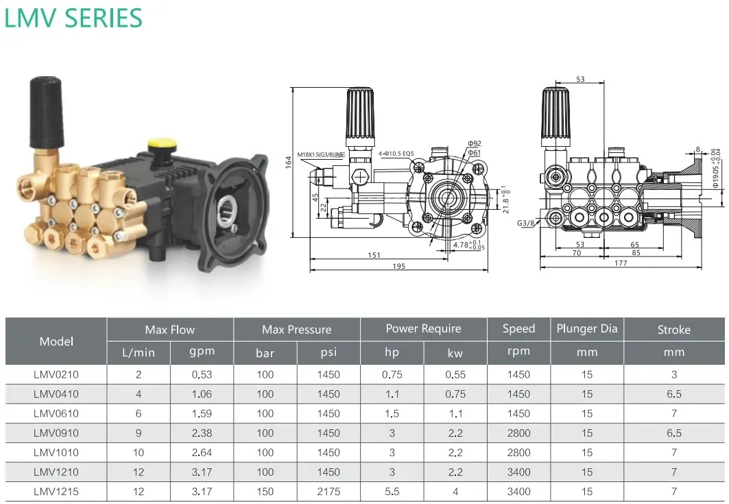 LMV 2LPM 100bar High Pressure Pump Triplex Plunger Pump for Mist System Fogging and humidification