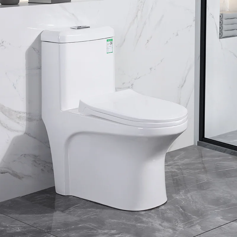 

Modern Elongated Floor Mounted Dual Flush S-Trap Ceramic One Piece Slow Closing Toilet