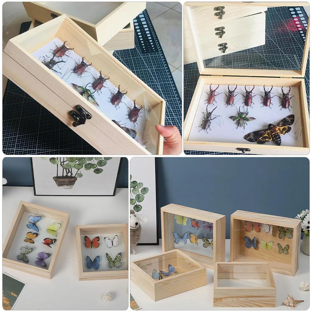 

Exquisite Specimen Display Box Wooden Shadow Case for Butterfly Transparent Lid Storage for Desktop Ornament