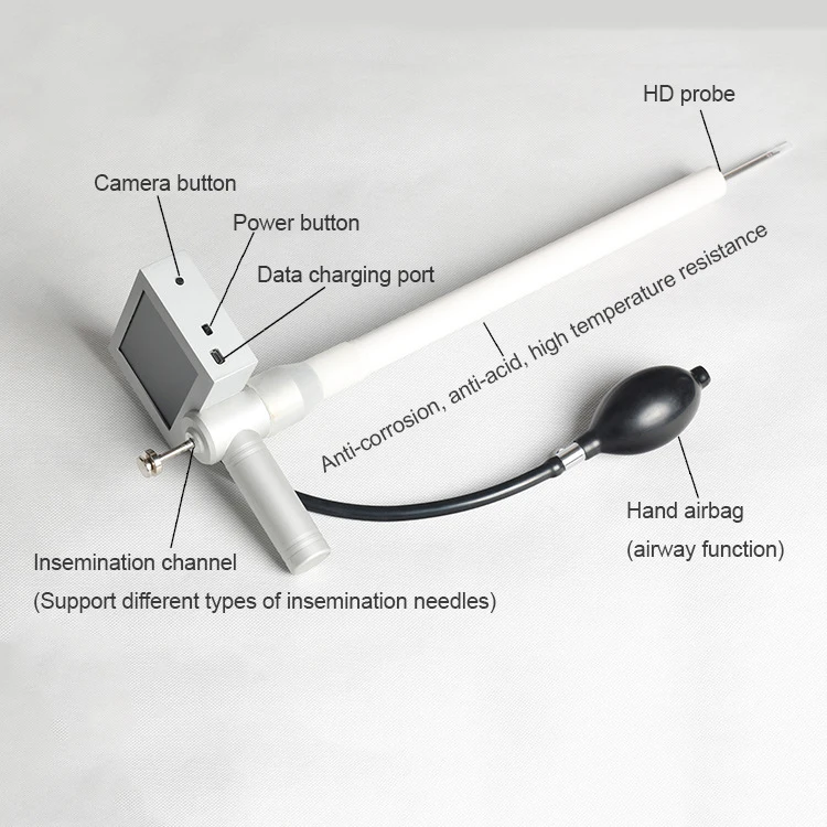 Digital Artificial Visual Insemination Endoscope Sperm Device Deferens Veterinary Breeding Kit Cattle Cow Equine Metal