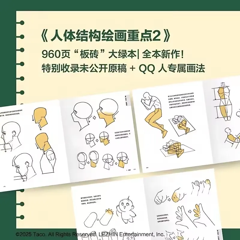 TACO Key Points in Drawing Human Anatomy Vol.2 Quick Qrawing Art Book Human Body Structure Modeling Hand-painted Technique Book