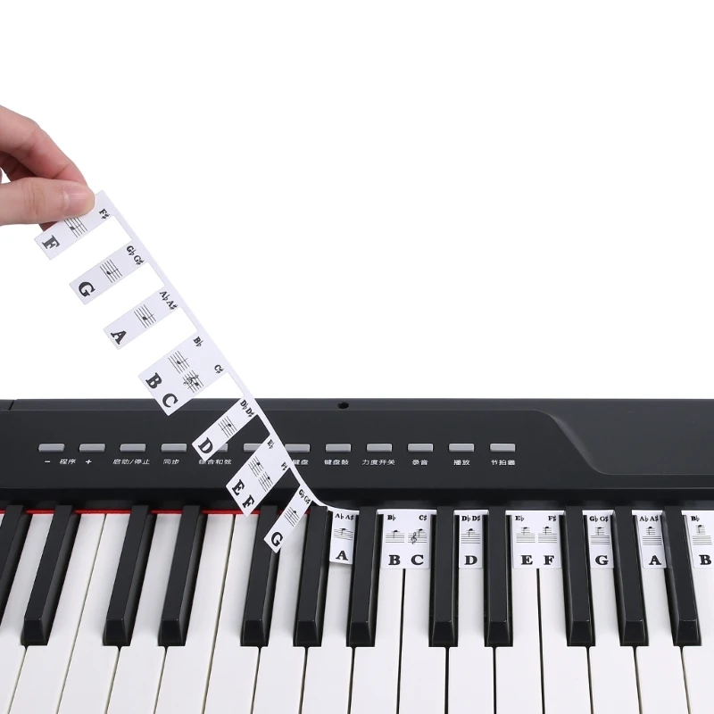 61 Keys 88 Keys Removable Piano Key Labels Piano Keyboard Stickers Piano Rake Notes Marker Overlay for Piano Fingering for Kids