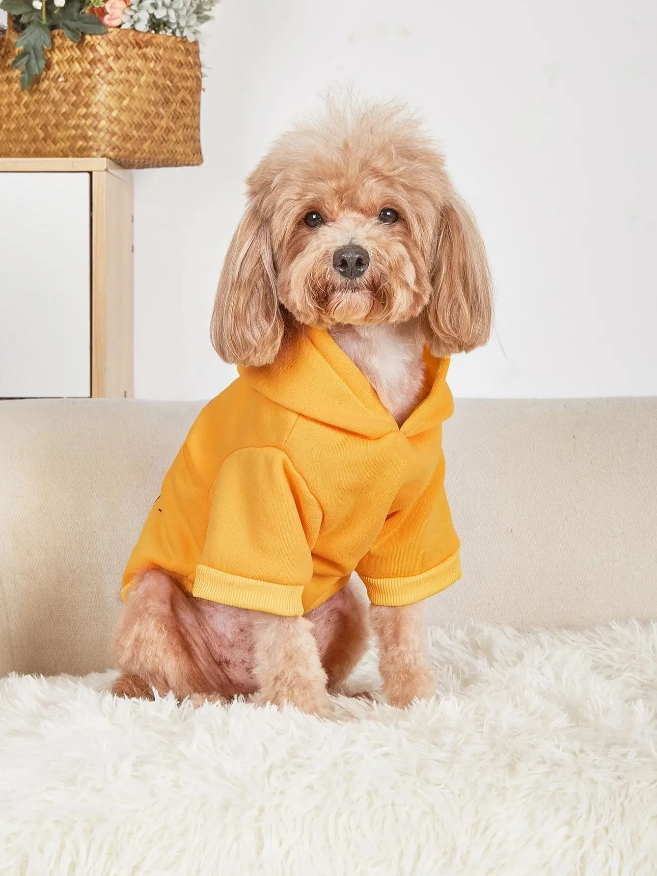 Pet clothes, dogs, cats, sweatshirts, warm and comfortable with velvet, printed clothes, simple and generous