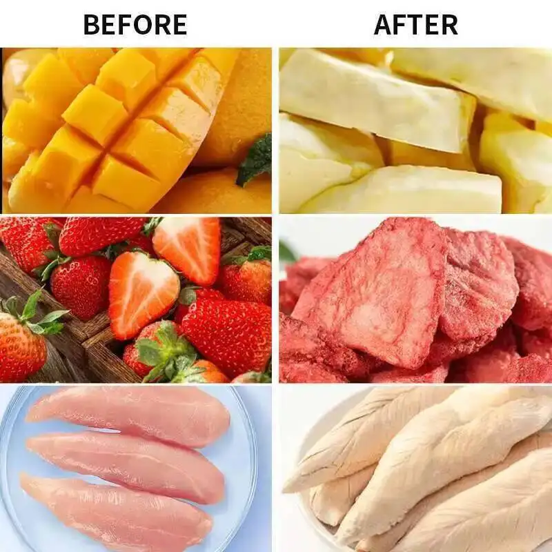 آلة تجفيف بالتجميد آلة تجفيف بالتجميد الفراغي أغذية الحيوانات الأليفة الفاكهة المجففة كورديسيبس مختبر معدات تجفيف التجميد الصغيرة