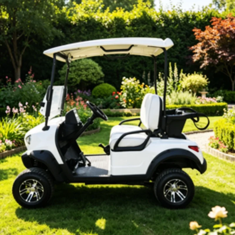 

Lithium Battery Club Car With Leather Seat New Energy Electric Golf Cart Rapid Delivery Off-Road Tires Aluminum Alloy Wheels