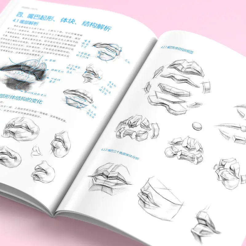 Sketching Getting Started Tutorial Book Figures Facial Features Muscle Skeleton Sketching Book Zero Based Sketch Drawing Book