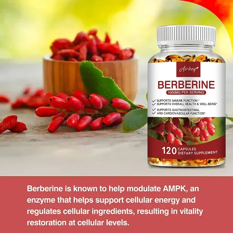 Berberine-capsules - Ondersteuning van de totale gezondheid en immuunfunctie, bevordert de spijsvertering, verbetert de energie, anti-oxidant en anti-aging