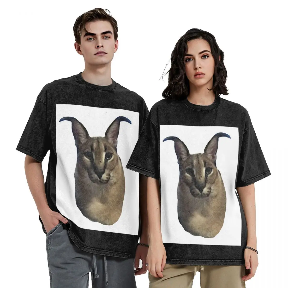 Big Floppa Animal Cat Washed T Shirts Cotton Short Sleeve Hip Hop T-Shirt Streetwear Tops Tees for Men Women