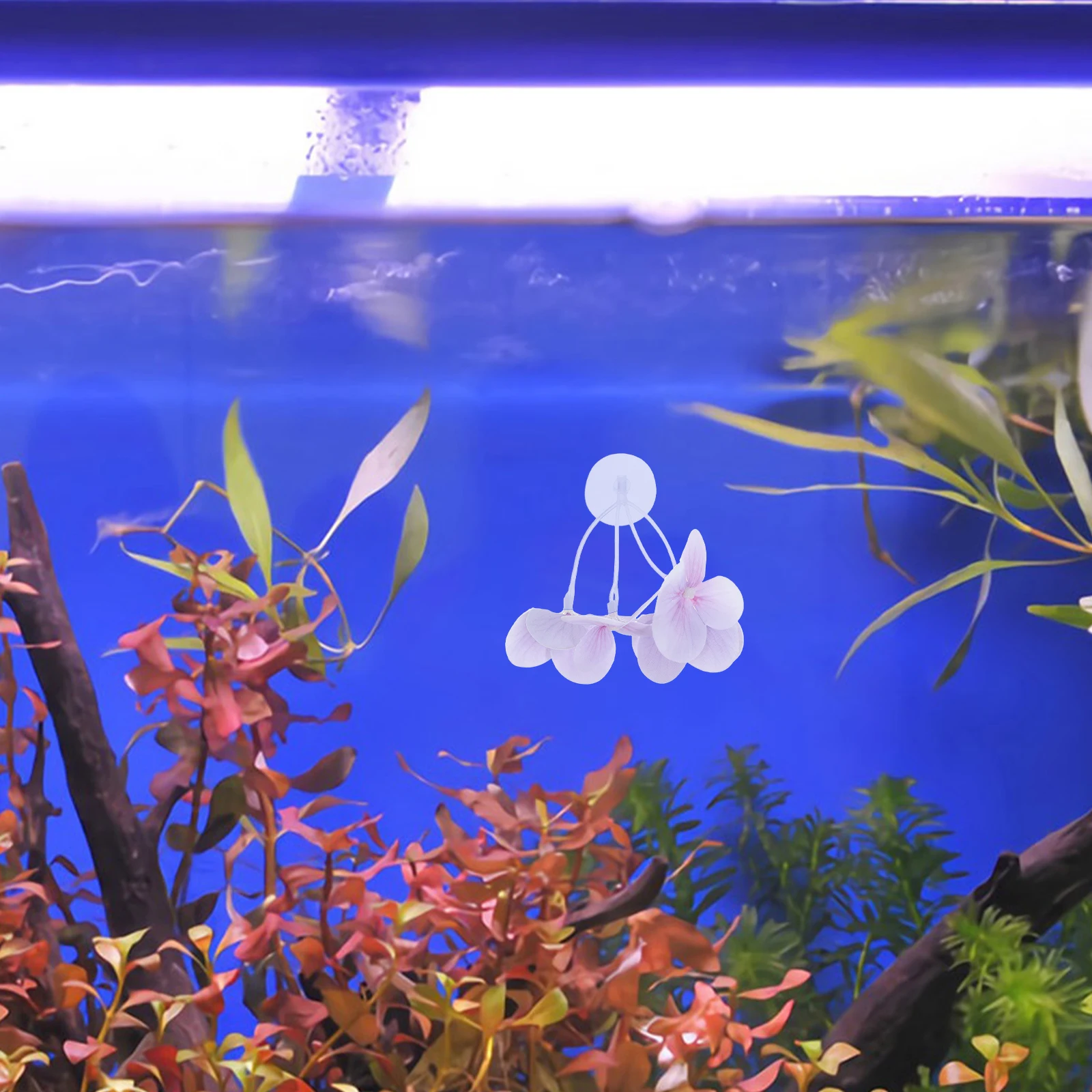 

Simulated Water Grass Decoration Fish Tank Decorations Aquatic Aquarium Plant Supplies Freshwater Cute for Decorate