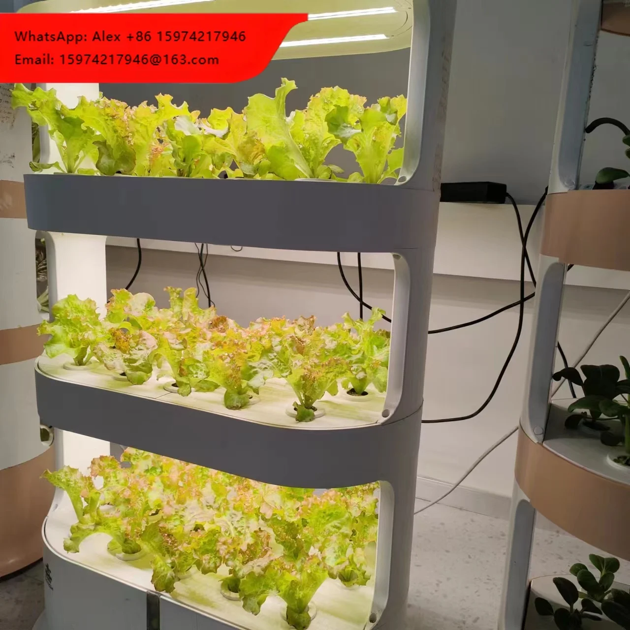 Smart Indoor Garden System Of Hydroponic Tower With Full Spectrum LED