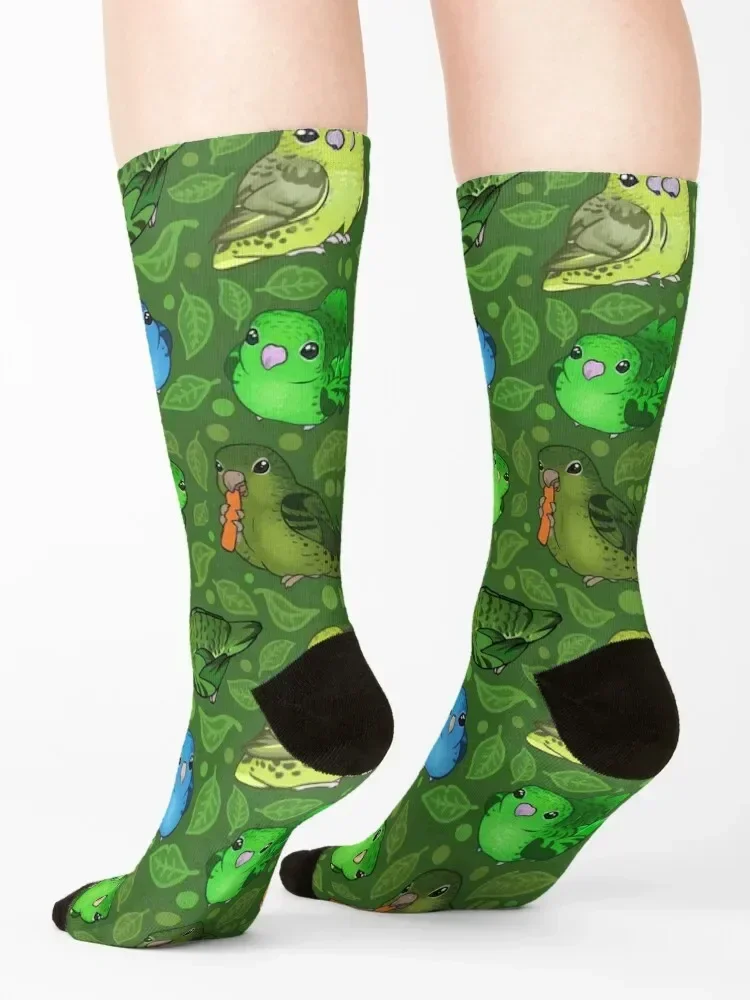 Lineolated Parakeet Cuties Socks ankle Run New year's christmas gift Socks For Man Women's