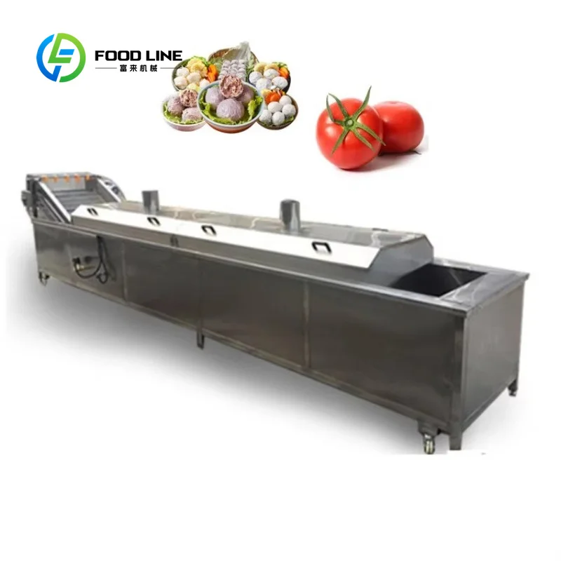 Continuous Blanching Machine FL Custom Wholesale Industrial Hot Selling For Fruit Vegetable Noodle Cooking Scalding Boiling