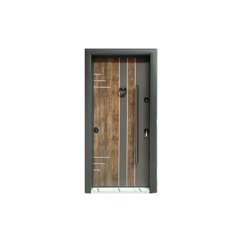 Anti Theft Iron Entry Door Household Security Door Turkish Style Special Project Steel Entrance Door for Home Protection