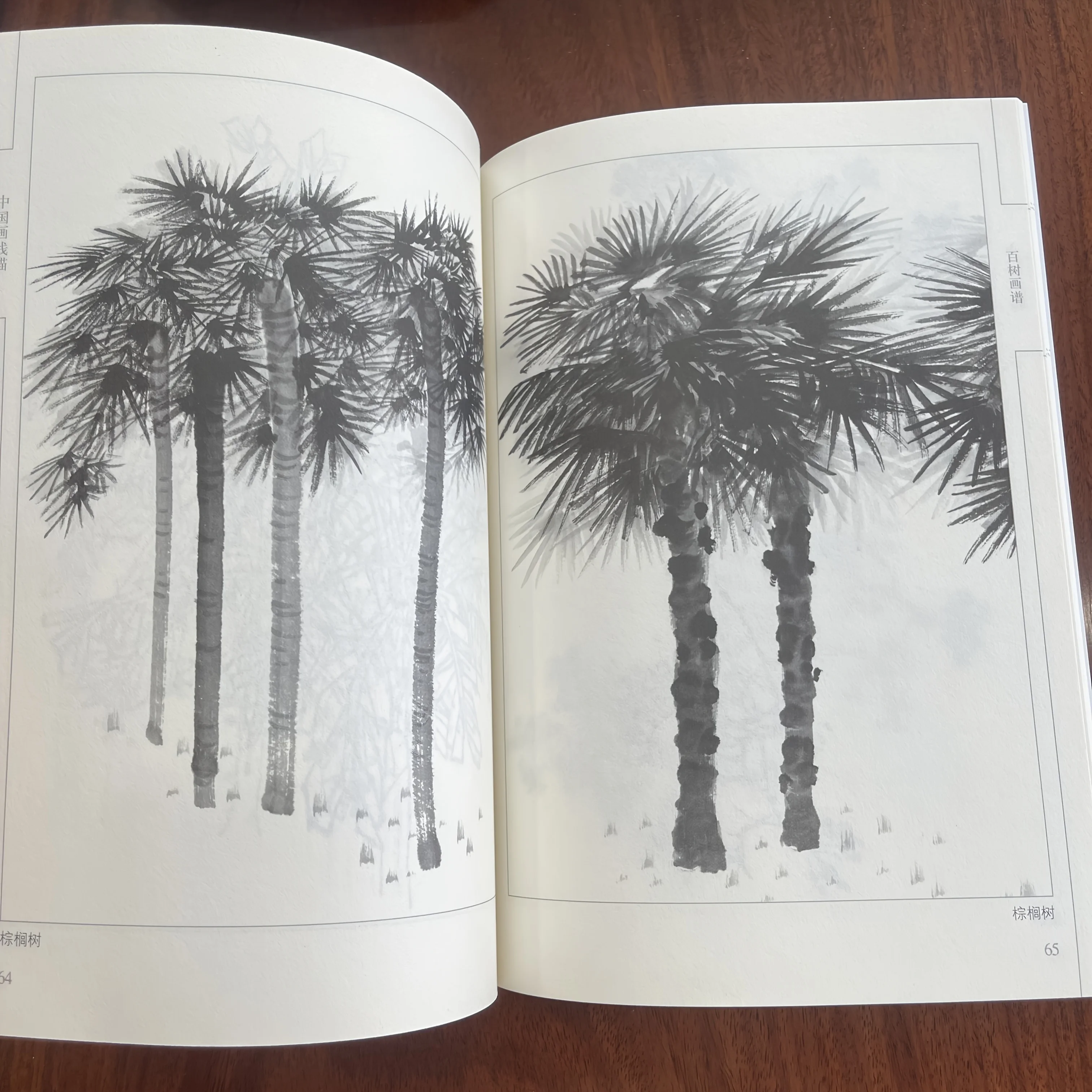 كتاب تلوين للبالغين والمراهقين يتميز بتصميمات سهلة وبسيطة لرسم الرسم الصيني للاسترخاء