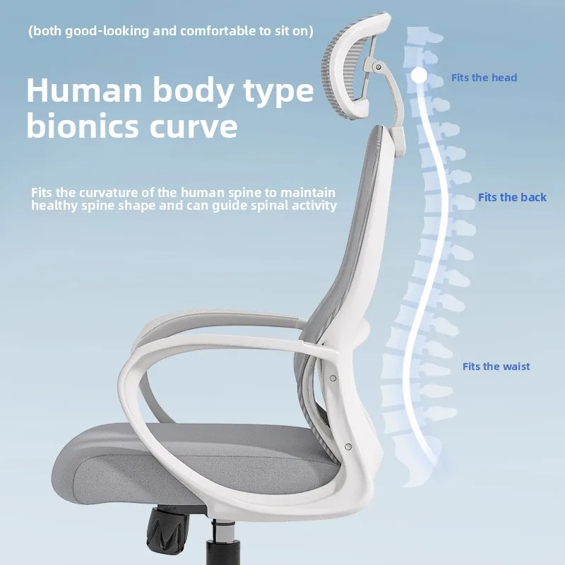Computer Chair Office Chair Seat Back Chair Ergonomic Chair Dormitory Study Chair