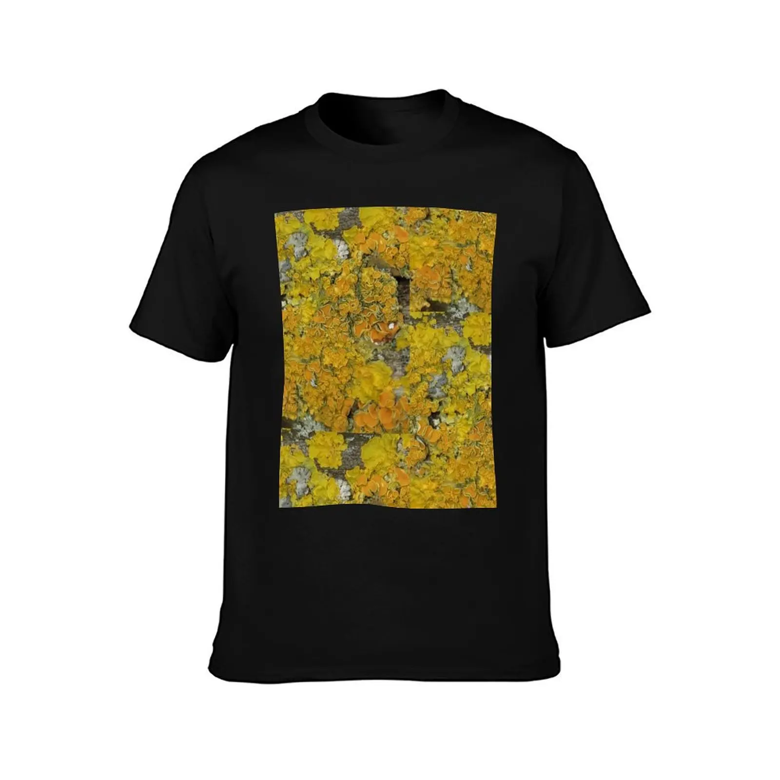 Yellow Lichen T-Shirt Big Size Short Sleeve Tee for Men T-Shirt
