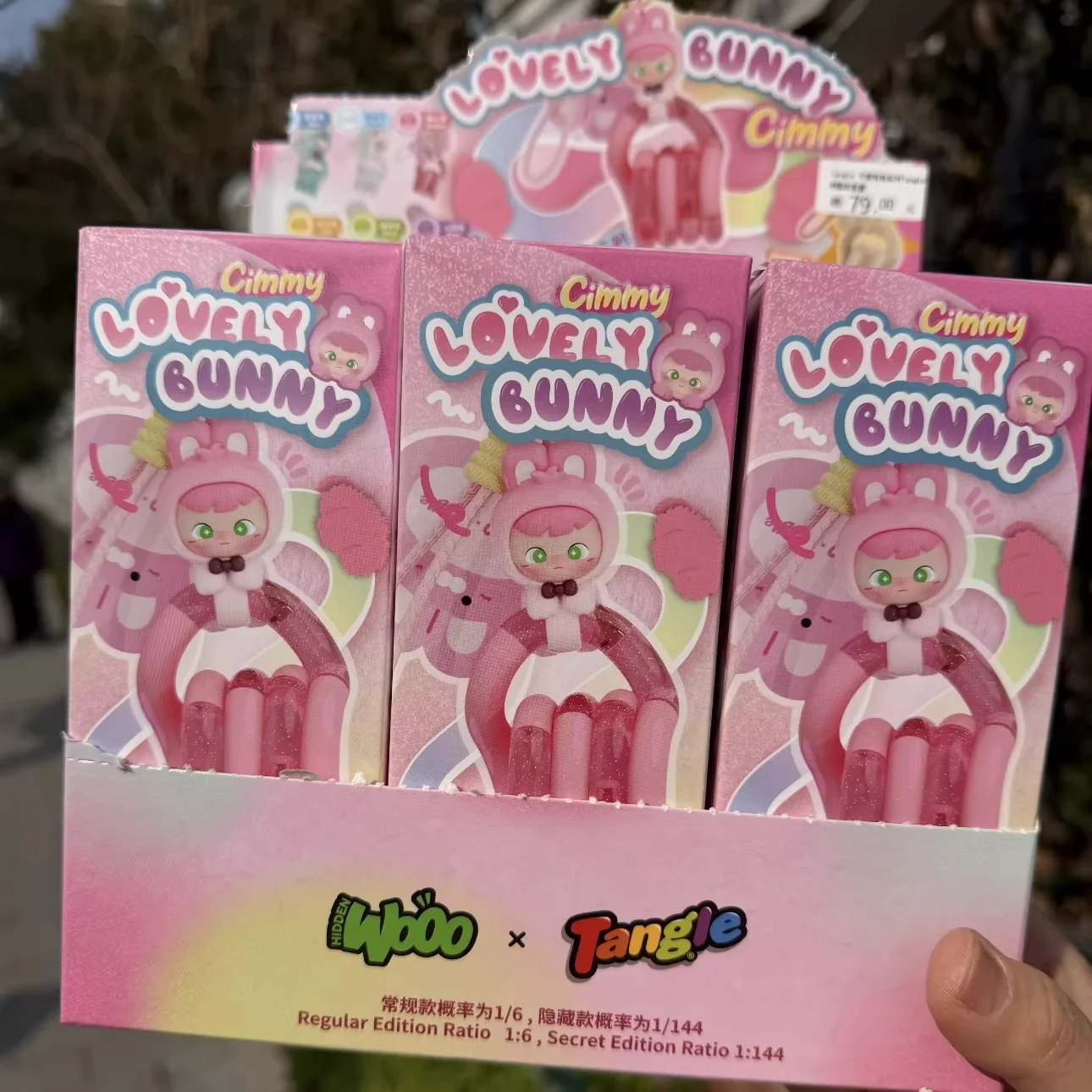 

Cimmy New Blind Box Keychain Lovely Bunny Bear Cute Cartoon Figure Pendant Mysterious Box Bag Charm Phone Lanyard Gift For Fans