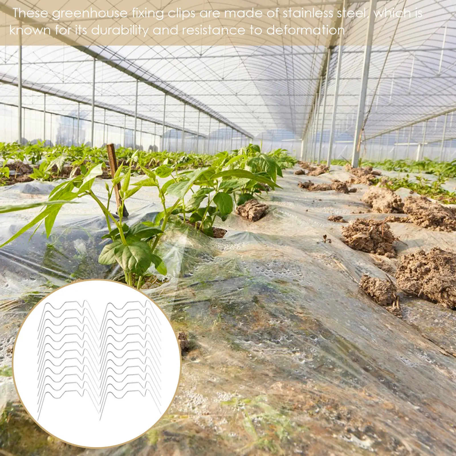25Pcs Stainless Steel Greenhouse W Clips Glass Pane Fixing Clips Easy Install Removable Non Scratch Glazing Hardware Supplies
